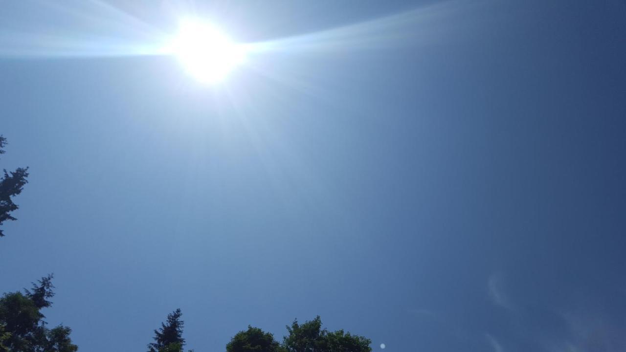 Lederer Häus'l, Ferienwohnungen Ellmau Exterior foto